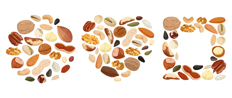 Why Nuts and Seeds Mix Make Such a Great Healthy Snack