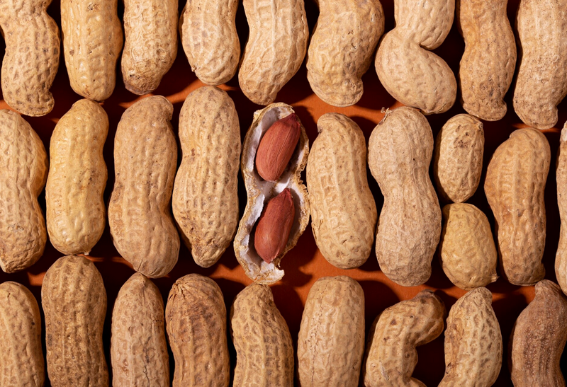 Raw Peanuts in a Row with the middle on open
